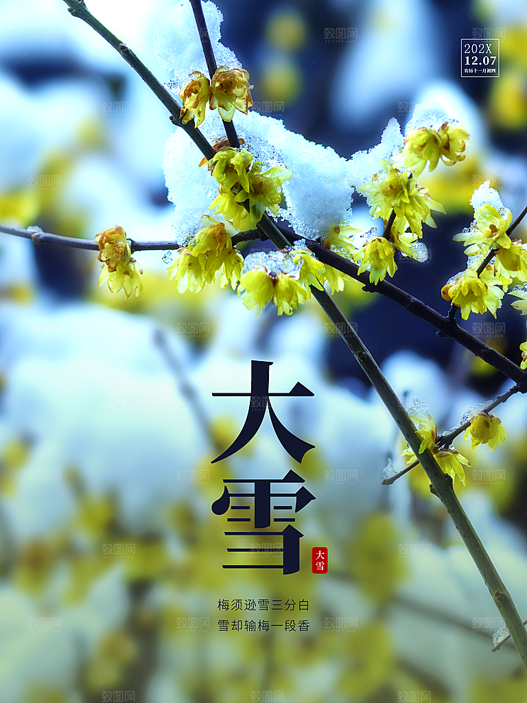 传统二十节气大雪