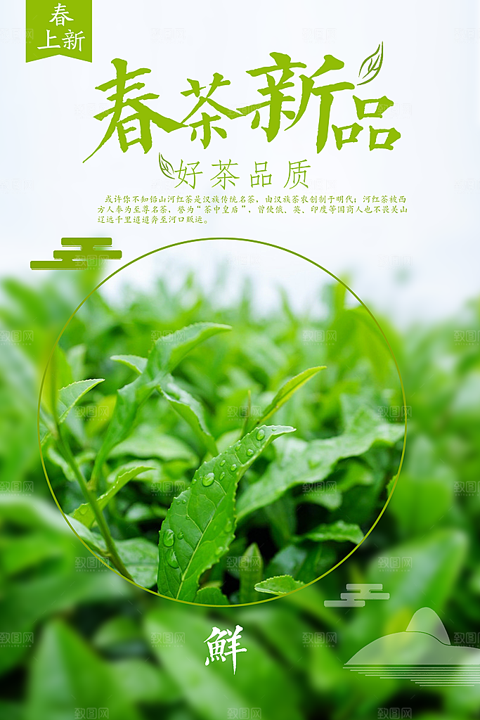 新中式茶叶绿茶茶海报设计