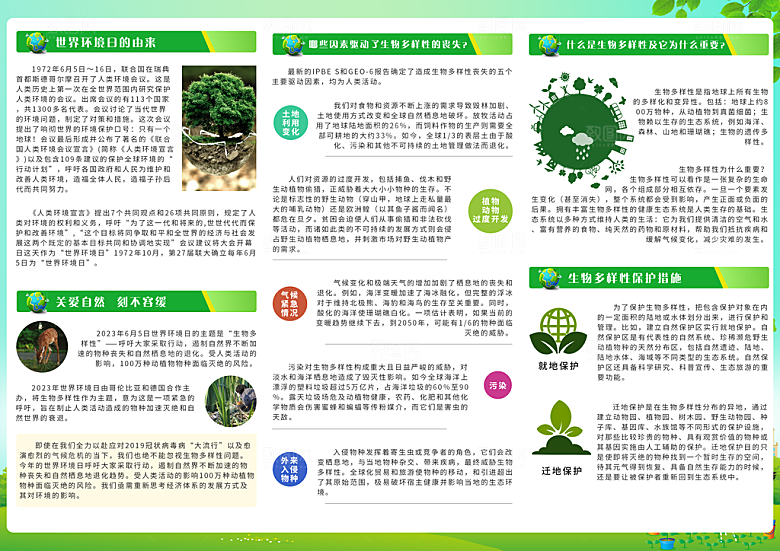 保护环境世界环境日宣传展板