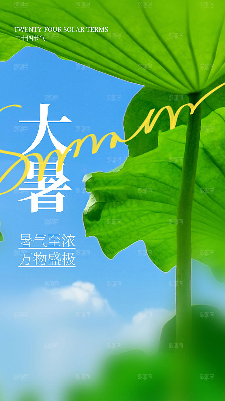 二十四节气大暑摄影海报