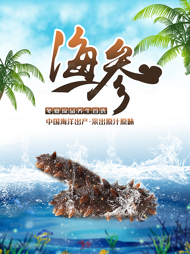 滋补养生野生海参