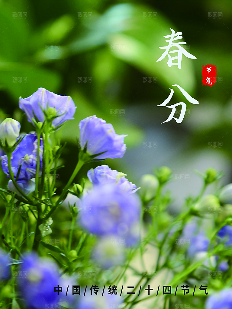 传统二十四节气春分