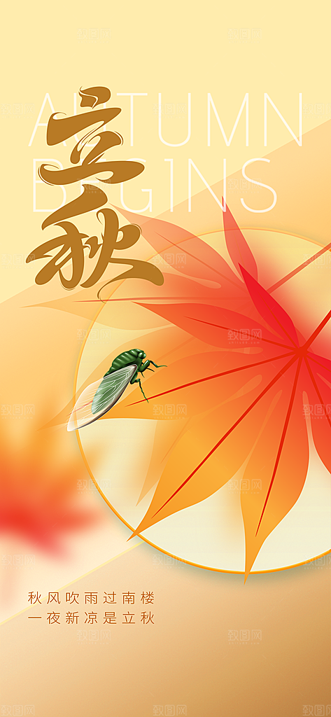 中国传统节气立秋简约海报