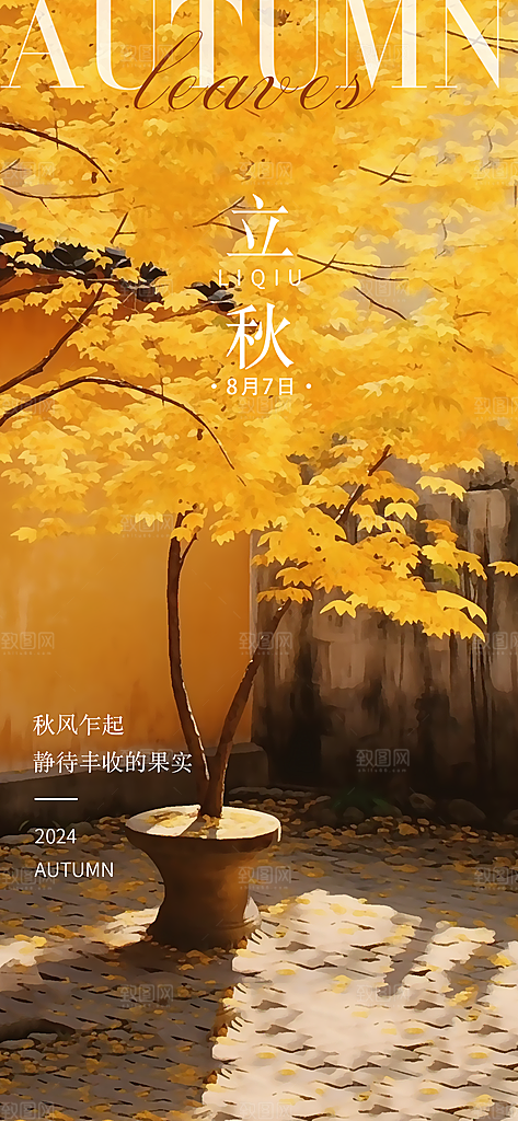 中国传统节气立秋简约海报