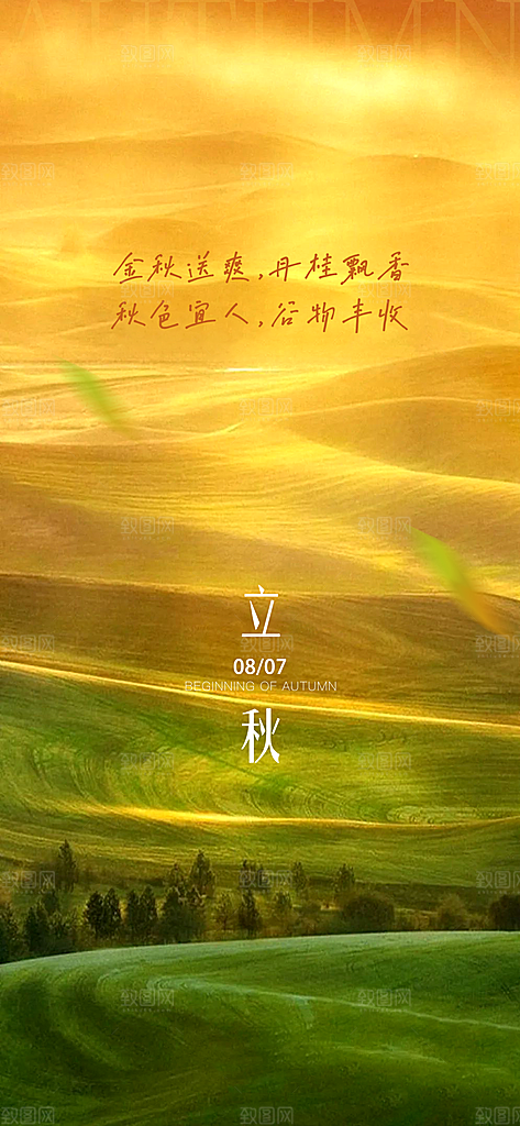 中国传统节气立秋简约海报
