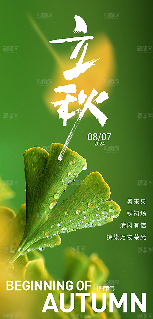 中国传统节气立秋简约海报