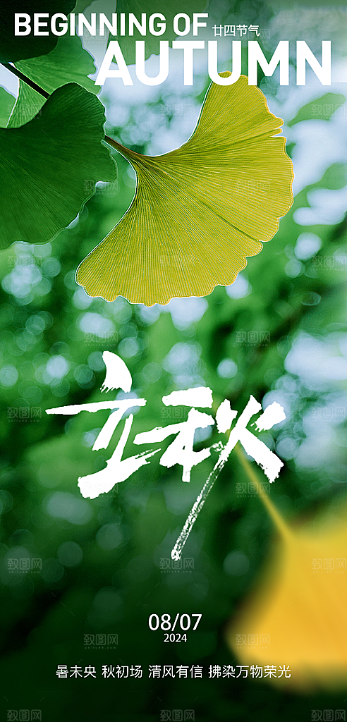 中国传统节气立秋简约海报
