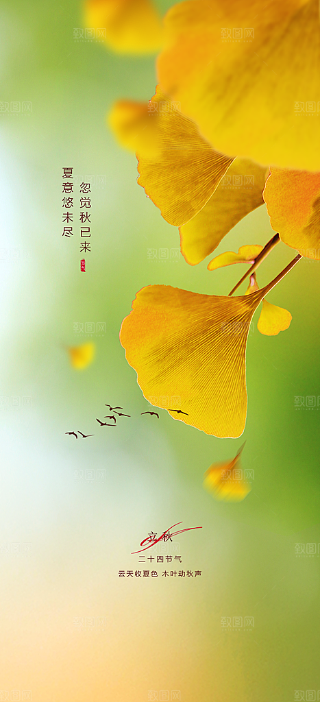 中国传统节气立秋海报