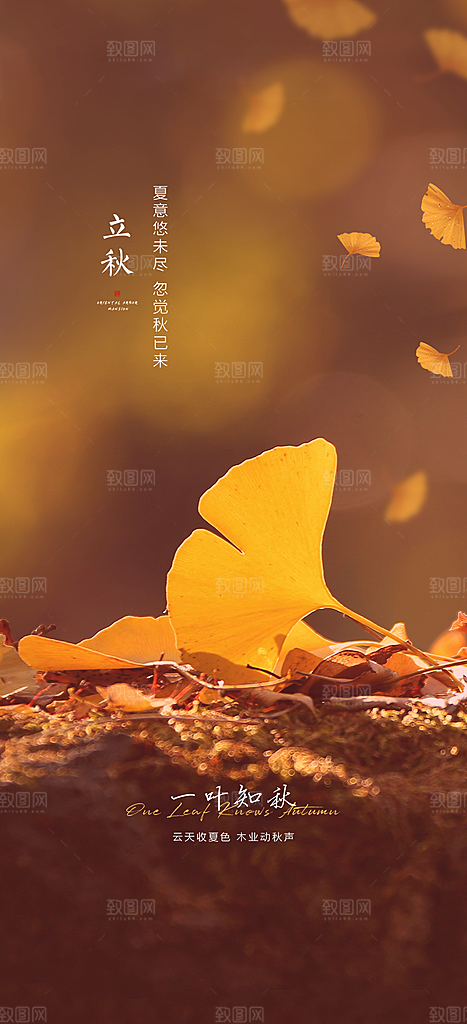 中国传统节气立秋简约海报