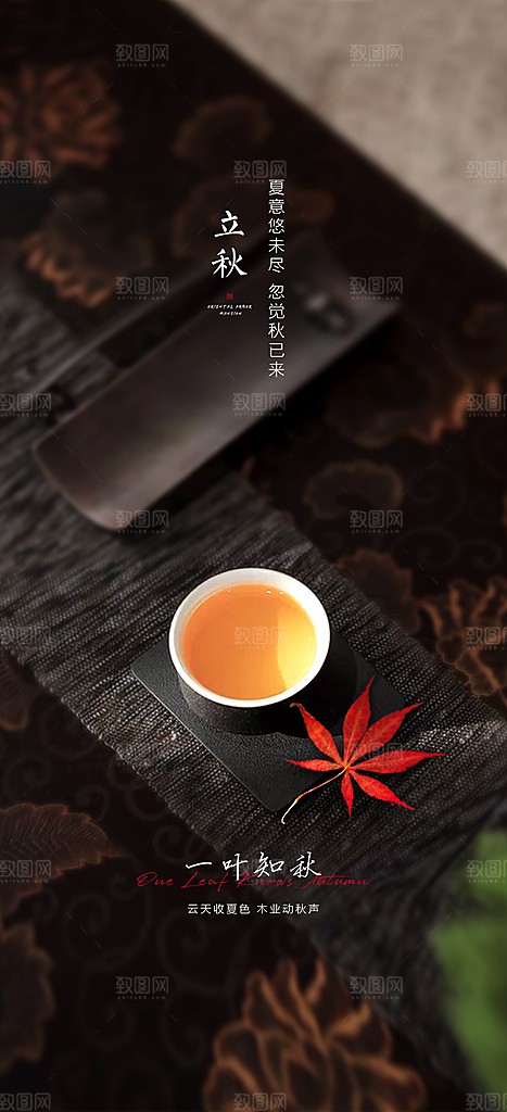 中国传统节气立秋简约海报