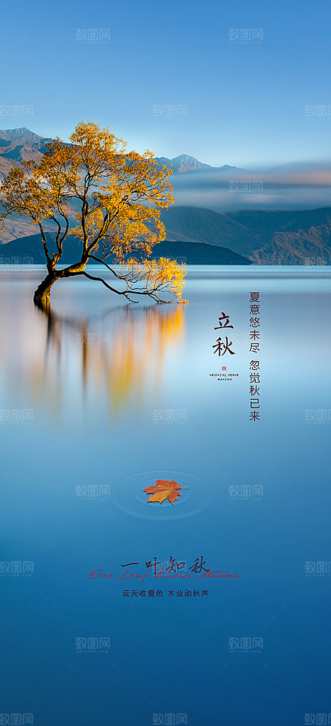 中国传统节气立秋简约海报
