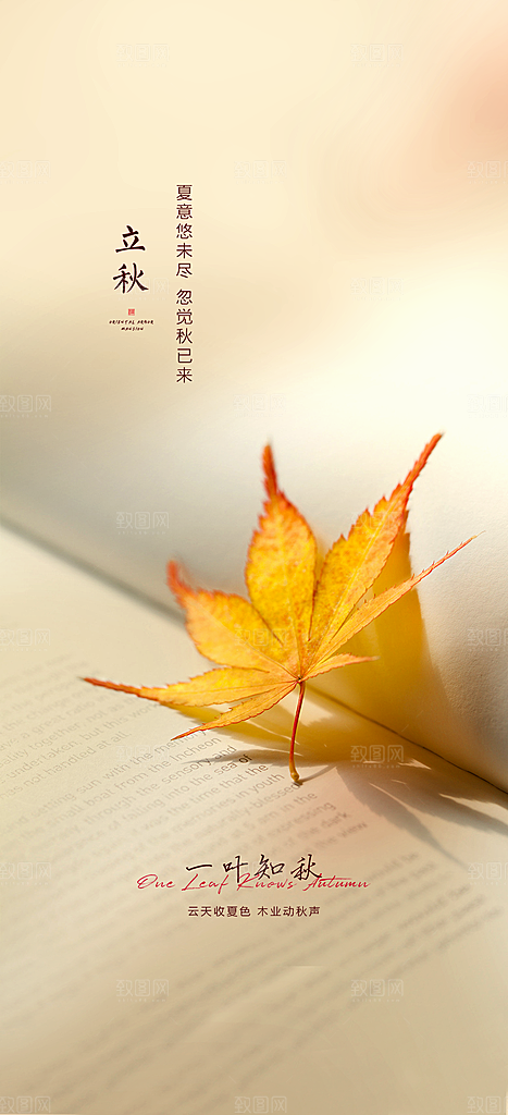 中国传统节气立秋简约海报