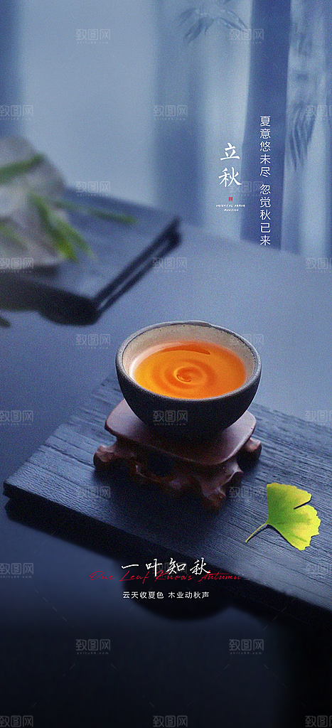 中国传统节气立秋简约海报