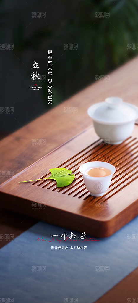 中国传统节气立秋简约海报