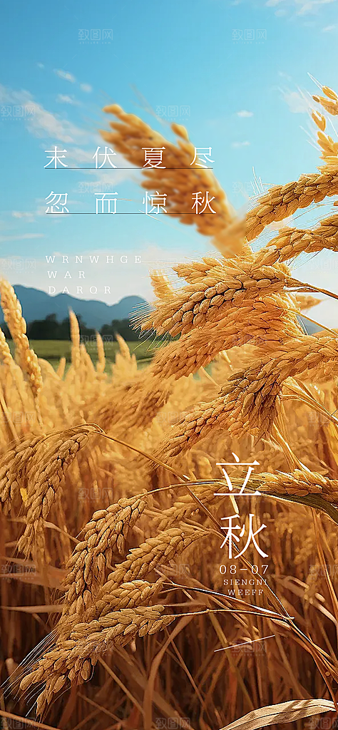 中国传统节气立秋海报