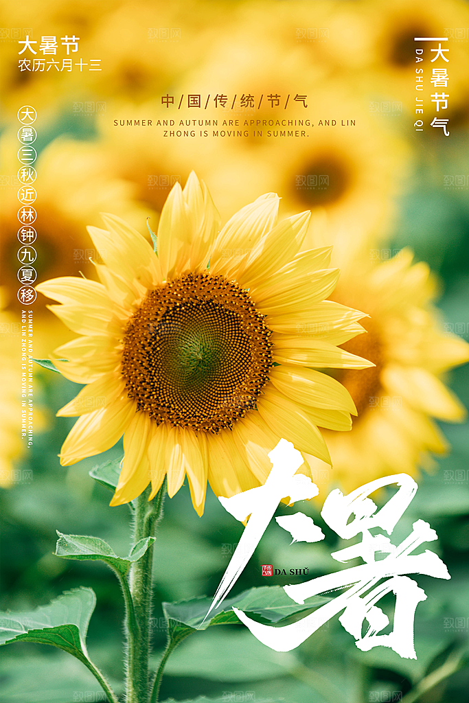中国传统二十四节气大暑海报素材