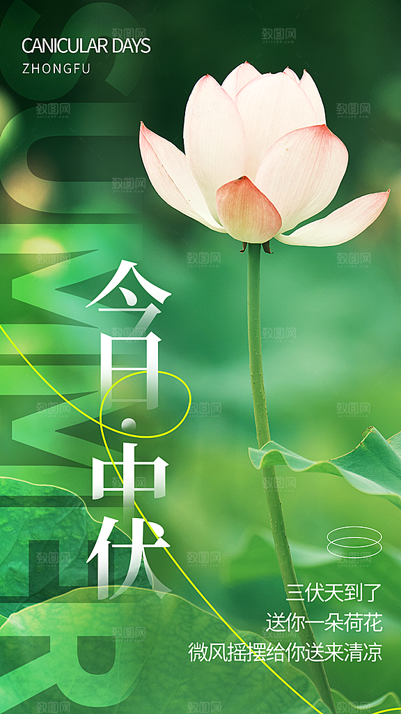 简约唯美中伏节气摄影图海报