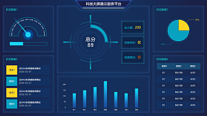 大屏数据可视化蓝色科技感管理统计界面后台