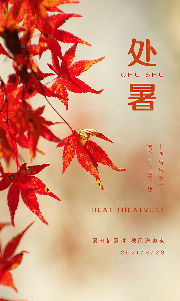 处暑节气宣传海报设计素材