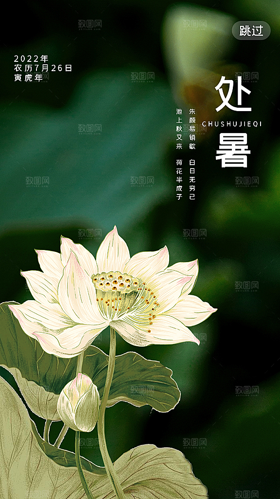 处暑节气宣传海报设计