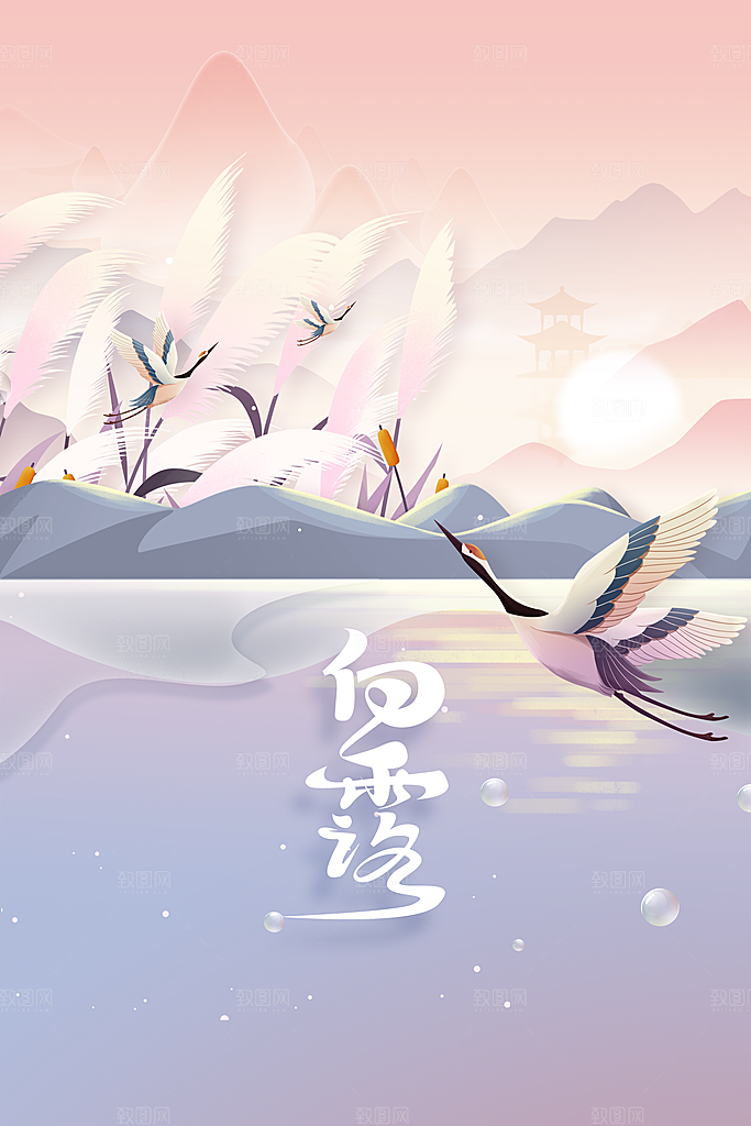 白露节气传统活动海报