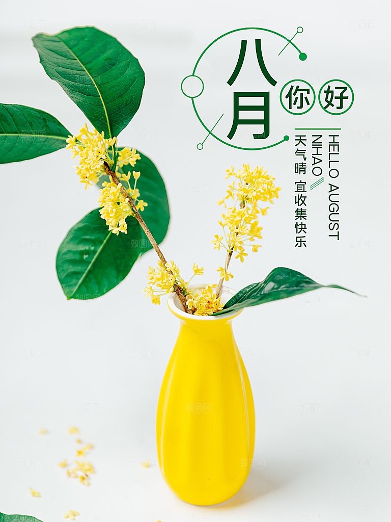 八月你好宣传海报