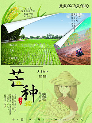 传统二十四节气芒种