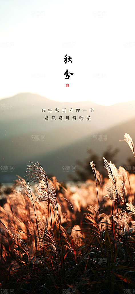 立秋宣传海报设计