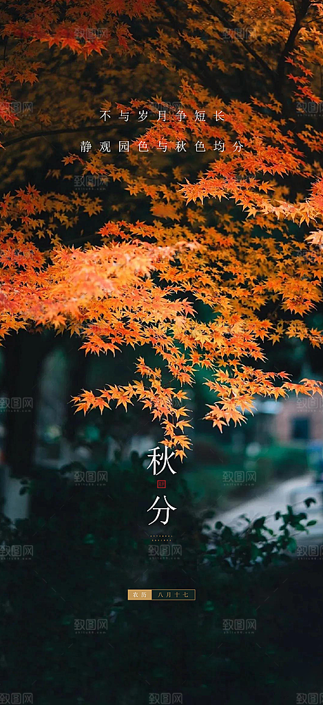 立秋宣传海报设计