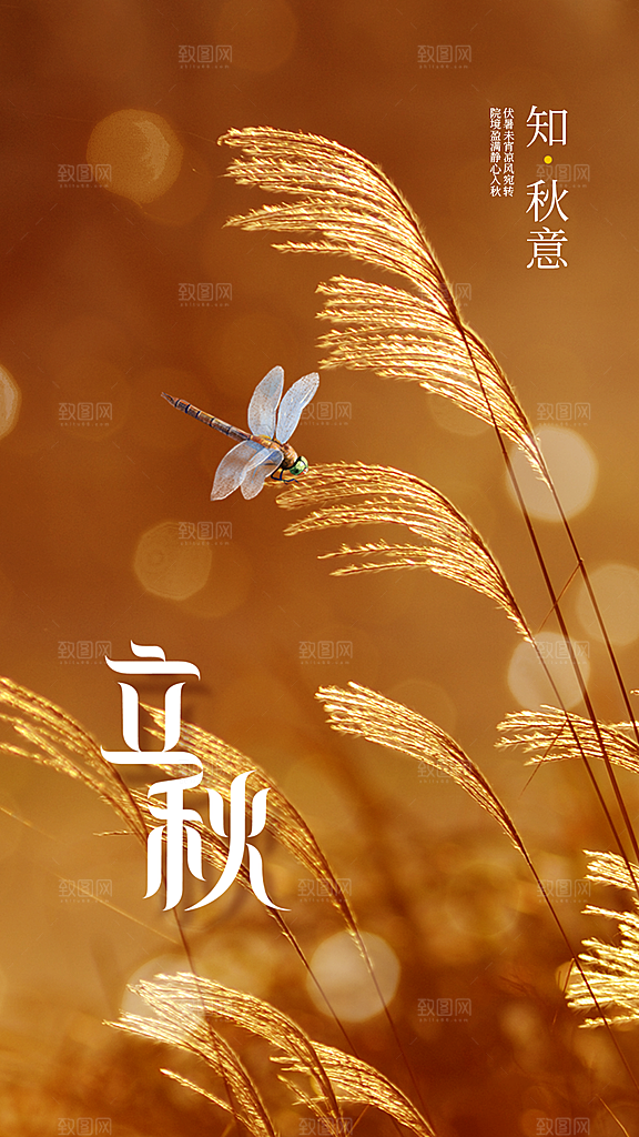 立秋宣传海报设计