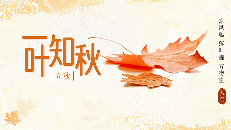 立秋宣传海报设计素材