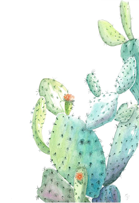手绘卡通水彩多肉植物仙人掌盆栽PNG