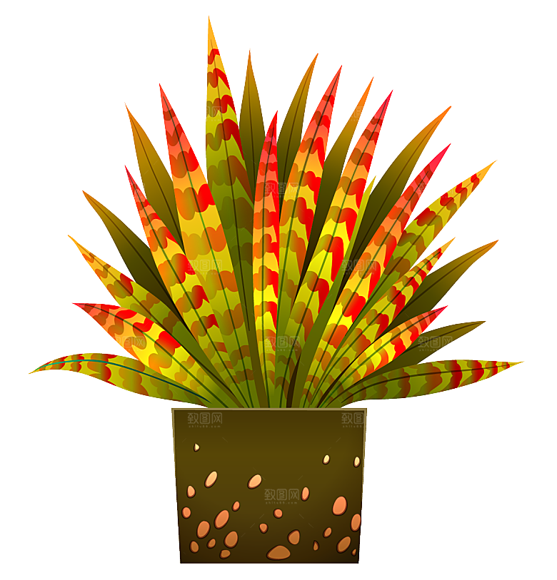 手绘卡通水彩多肉植物仙人掌盆栽PNG