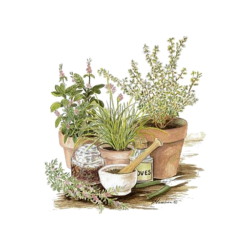 手绘卡通水彩多肉植物仙人掌盆栽PNG