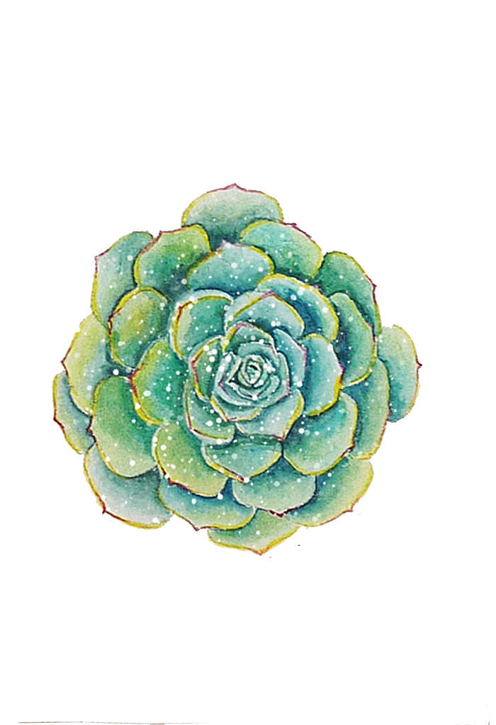 手绘卡通水彩多肉植物仙人掌盆栽PNG