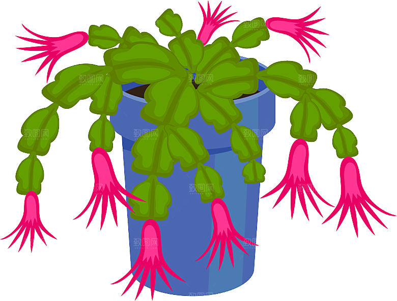 手绘卡通水彩多肉植物仙人掌盆栽PNG