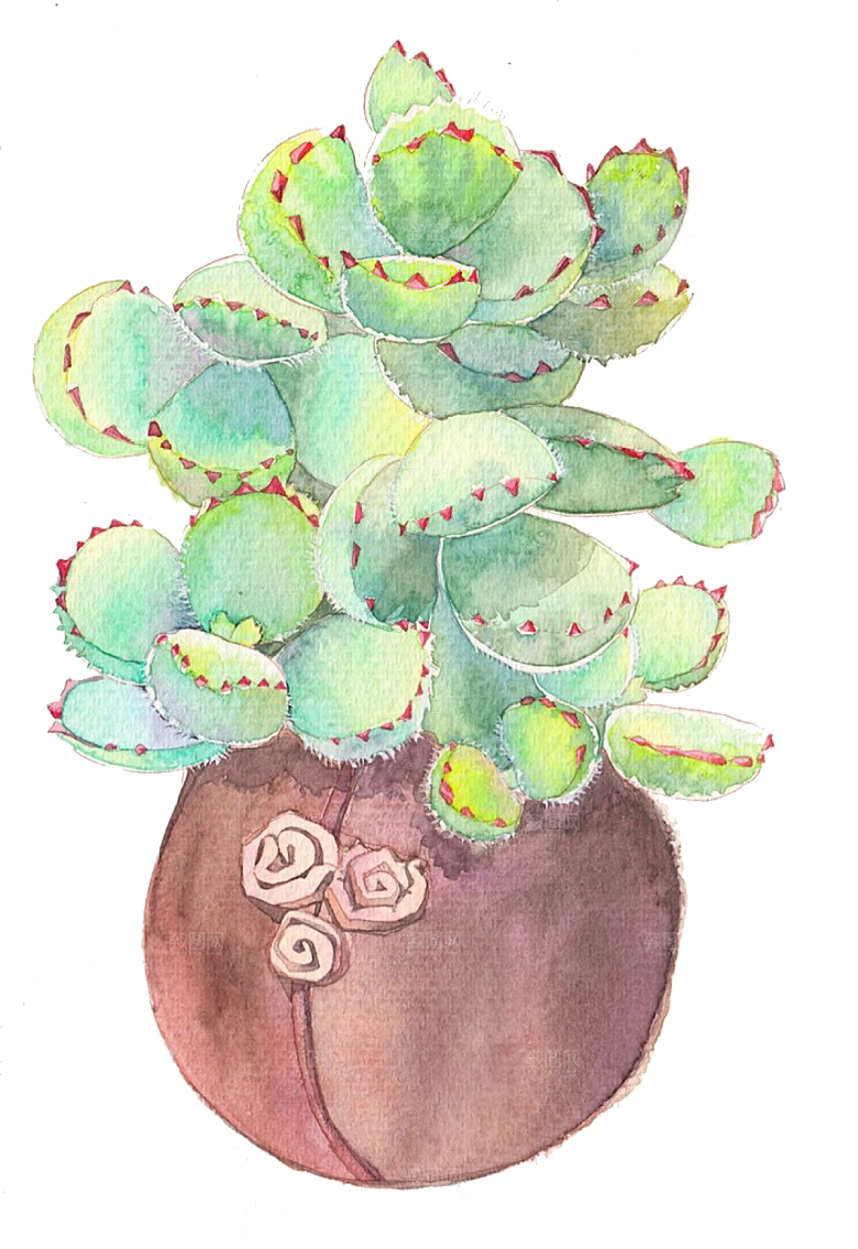 手绘卡通水彩多肉植物仙人掌盆栽PNG