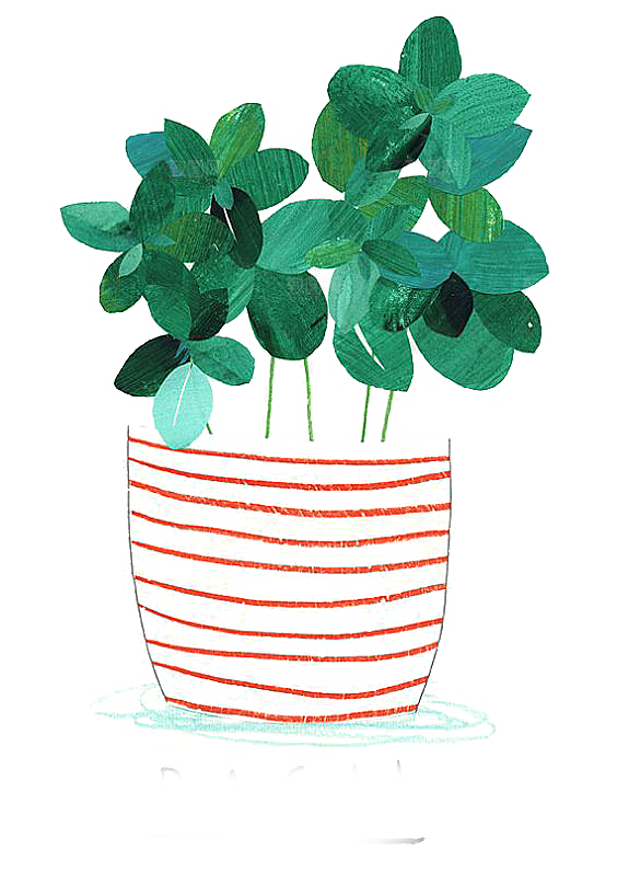 手绘卡通水彩多肉植物仙人掌盆栽PNG