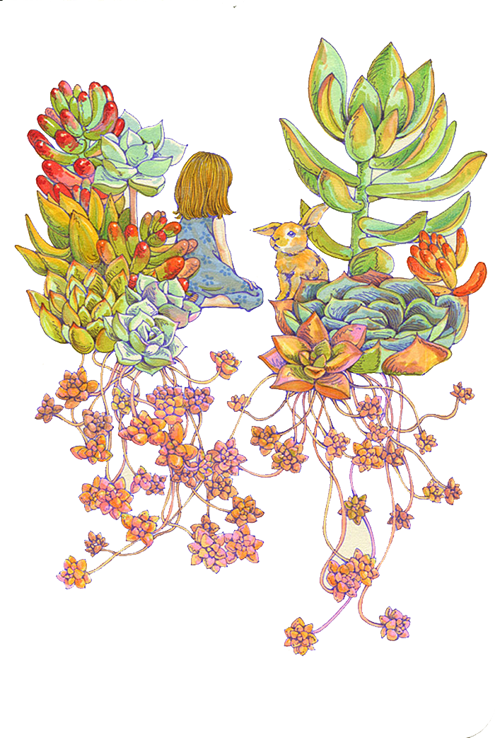 手绘卡通水彩多肉植物仙人掌盆栽PNG