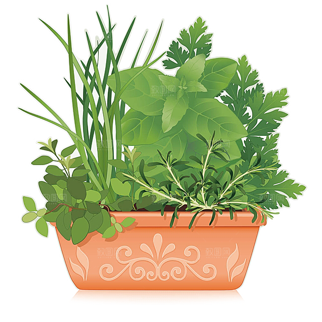 手绘卡通水彩多肉植物仙人掌盆栽PNG