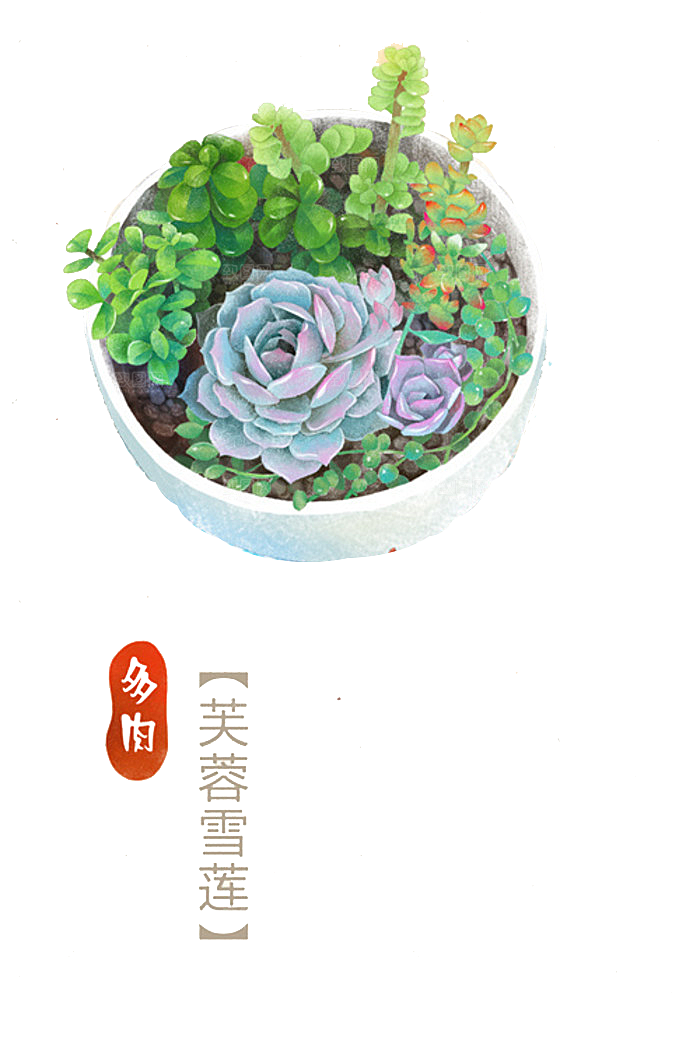 手绘卡通水彩多肉植物仙人掌盆栽PNG