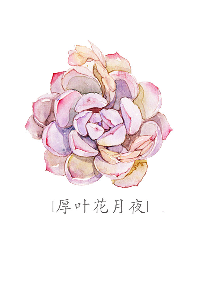 手绘卡通水彩多肉植物仙人掌盆栽PNG