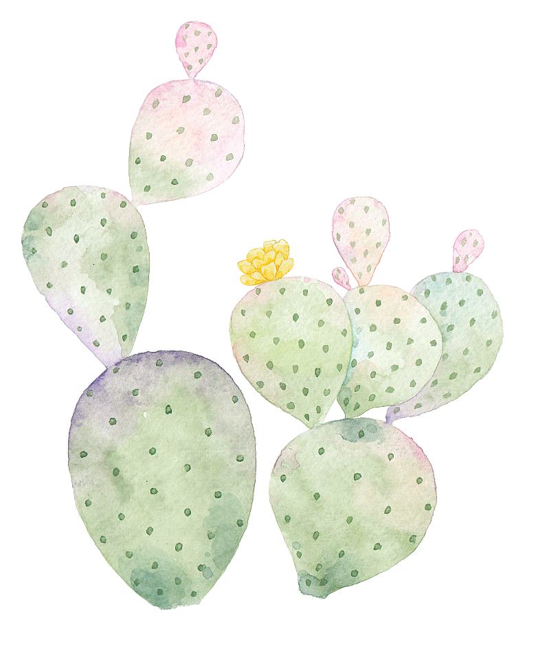 手绘卡通水彩多肉植物仙人掌盆栽PNG