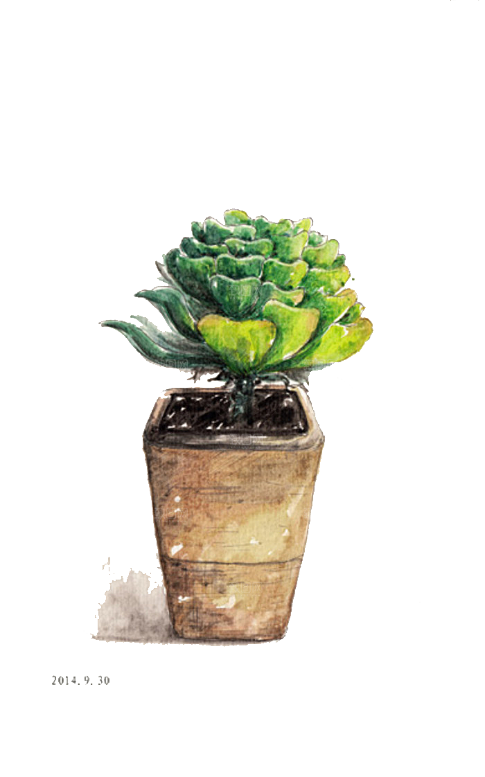 手绘卡通水彩多肉植物仙人掌盆栽PNG