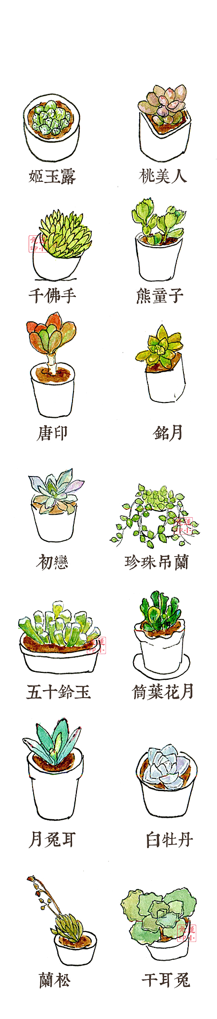 手绘卡通水彩多肉植物仙人掌盆栽PNG素材