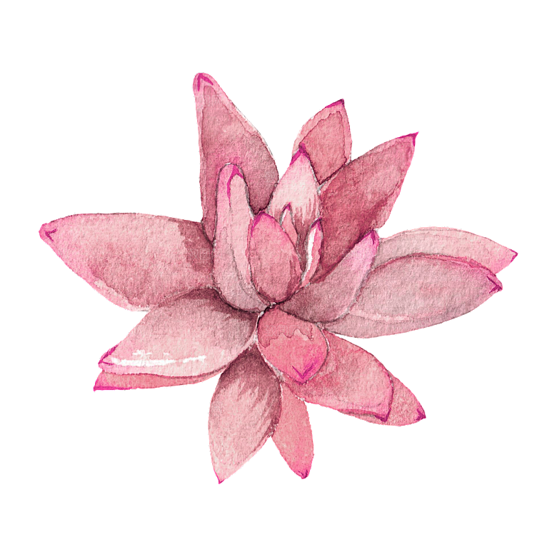 手绘卡通水彩多肉植物仙人掌盆栽PNG