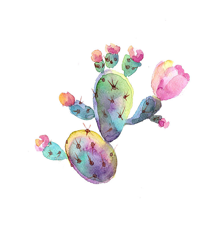 手绘卡通水彩多肉植物仙人掌盆栽PNG