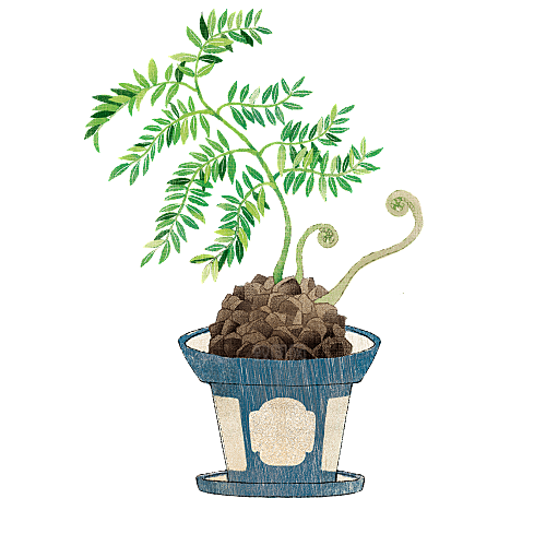 手绘卡通水彩多肉植物仙人掌盆栽PNG