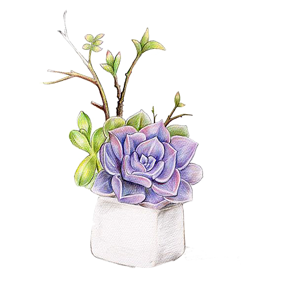 手绘卡通水彩多肉植物仙人掌盆栽PNG