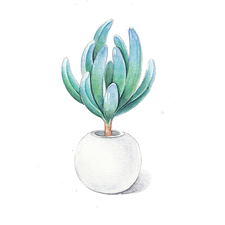 手绘卡通水彩多肉植物仙人掌盆栽PNG